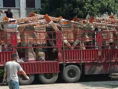 Birmaniya 7 manipulatora qaytaradi.